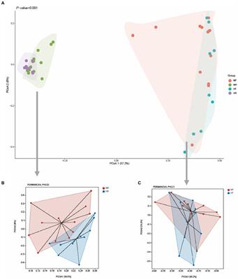 Comparison of the gastrointestinal bacterial microbiota between dairy cows with and without mastitis